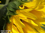 P3158157
