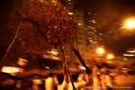 DSC02965