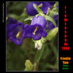 P3207254