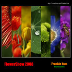 FlowerShow2008 Logo