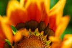 P1040579