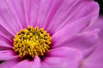 P1040592