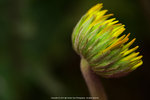 P1040783