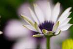 P1040819