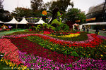 DSC00014