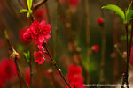 DSC00077