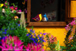 DSC00151
