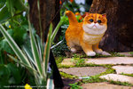 DSC00162