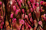 DSC00191
