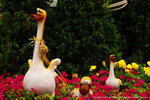 DSC00197