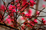 DSC00203