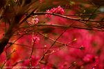 DSC00206