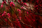DSC00207