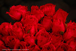 DSC00332