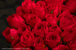 DSC00334