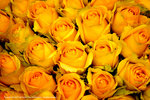 DSC00371