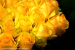 DSC00391