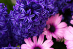 DSC00443
