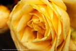 DSC00459