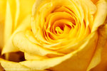 DSC00465
