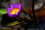 DSC00501