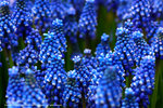 DSC00506
