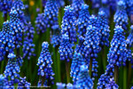 DSC00508