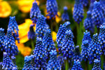 DSC00509