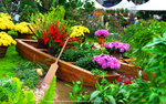 DSC08335