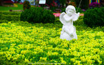 DSC08337