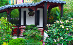 DSC08339