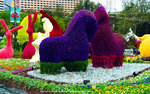 DSC08350