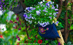 DSC08359