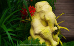 DSC08369
