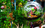 DSC08380