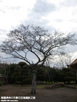 P3279408