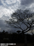 P3279410