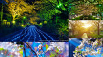 Cover_DSC04319