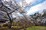 DSC00960