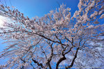DSC01000