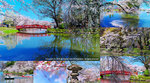 Cover_DSC05050