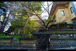 DSC05013