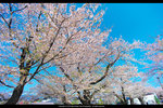 DSC05030