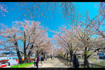 DSC05033