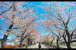 DSC05034