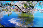 DSC05069_a
