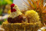 DSC08640