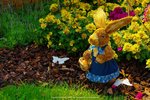 DSC08648