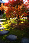 DSC00970