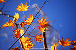 DSC01014